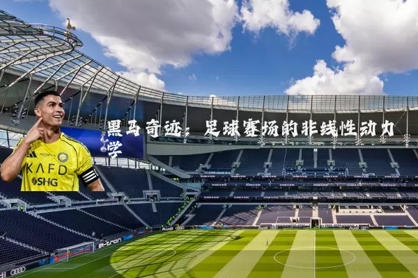 黑马奇迹:足球赛场的非线性动力学